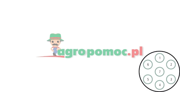 Hella Socket | zdjęcie nr 2